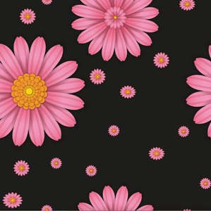 Hovedbilde Daisy Mae Sort/Rosa - &Oslash;kologisk Jersey