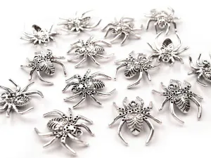 Hovedbilde Spider Charm S&oslash;lv - 25mm&nbsp;x 28mm