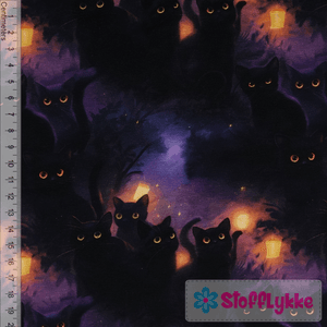 Hovedbilde Night Cats - Jersey