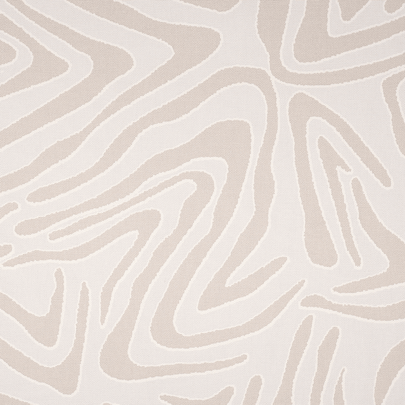 Grey Zebra - Kanvas