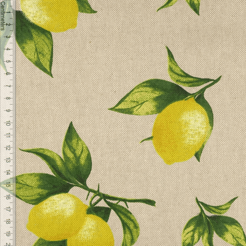 Lemons - Kanvas