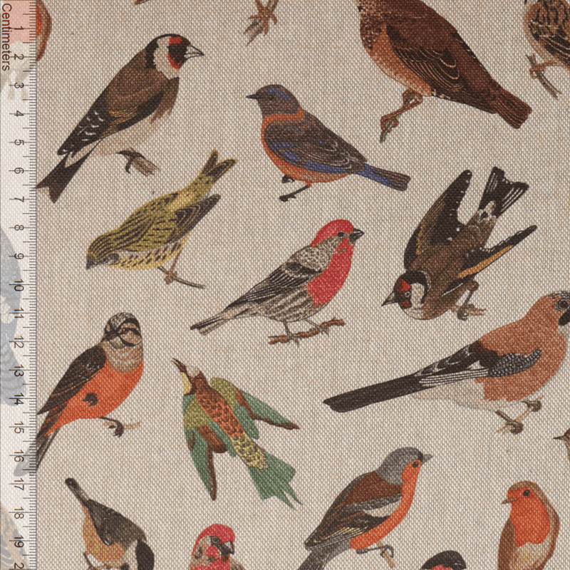 Songbirds - Kanvas