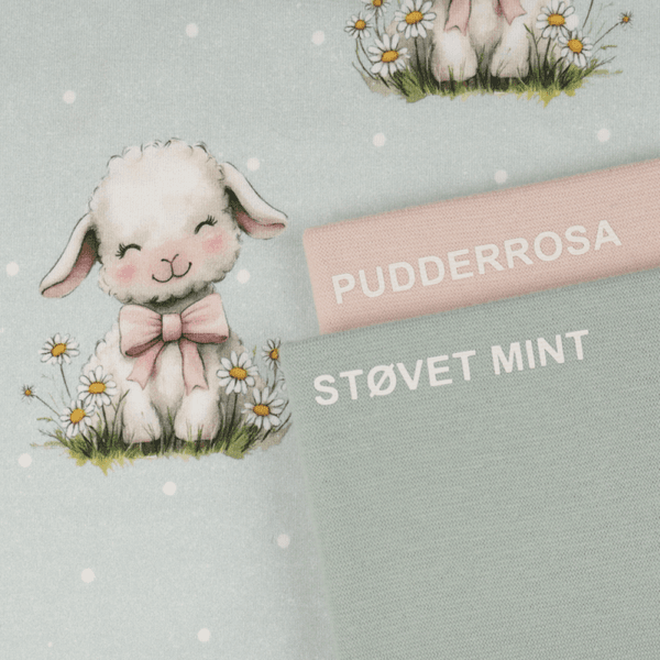 Cute Lamb - Jersey
