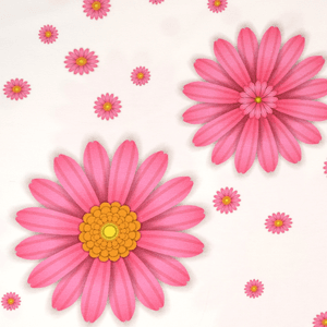 Hovedbilde Grand Pink Blossom - &Oslash;kologisk Jersey