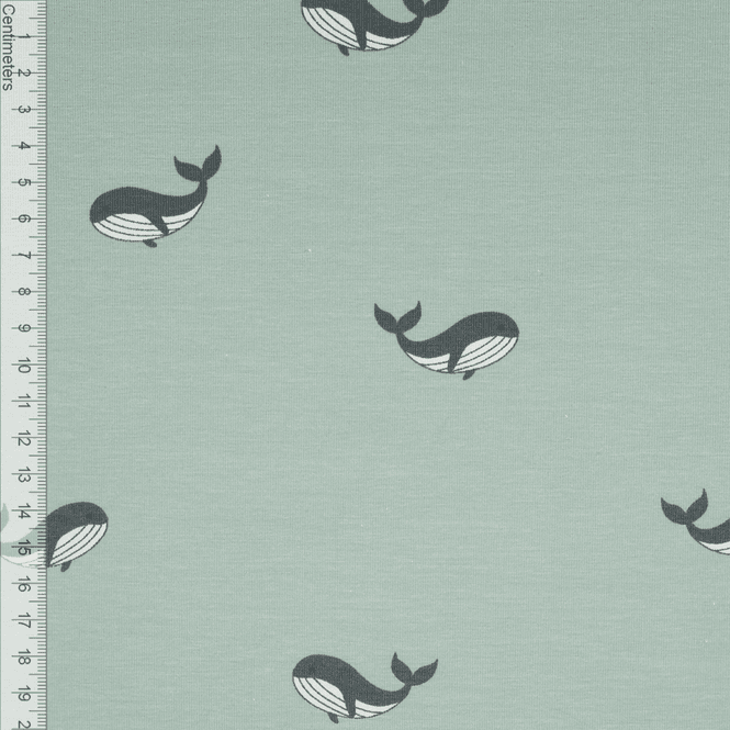 Hovedbilde Tiny Whales - Jersey