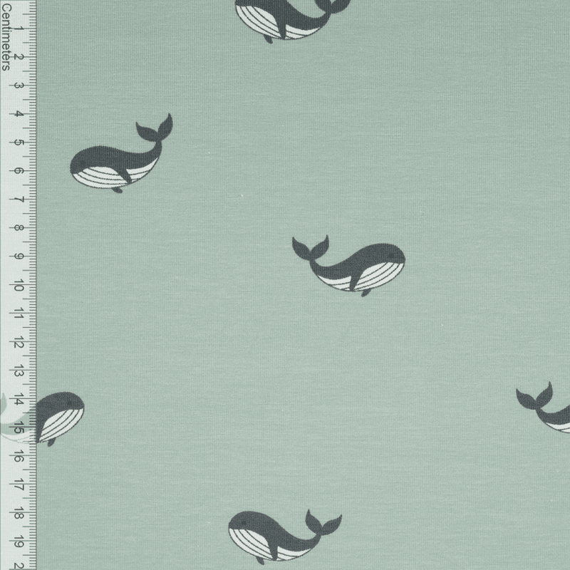 Tiny Whales - Jersey