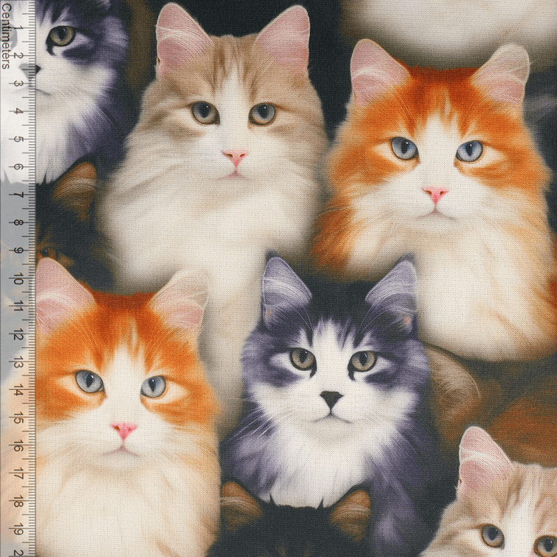 Cats - Minky Isoli