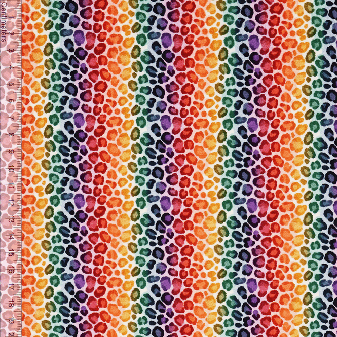 Hovedbilde Rainbow Stripe Leo - Jersey