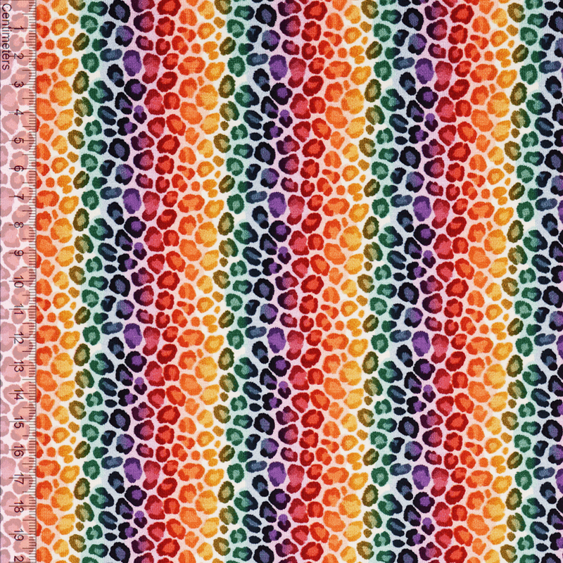 Rainbow Stripe Leo - Jersey