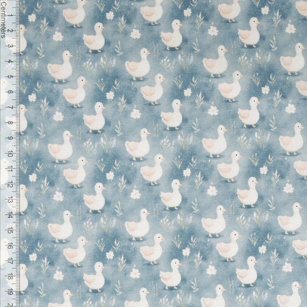 Little Ducklings - Jersey