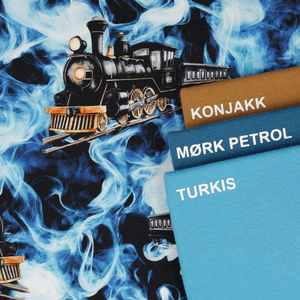 Hovedbilde Mystic Train - Jersey